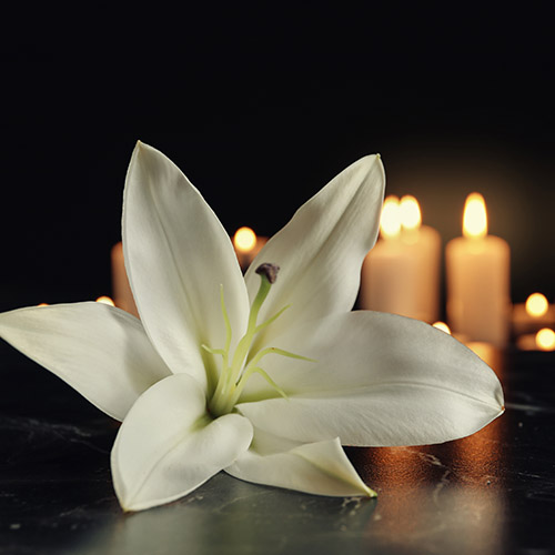 Entwine Bespoke Celebrant offer bespoke ceremonies for any part of life's journey. Whether it be weddings, naming ceremonies or funerals, Entwine offer their services in Perth, Dundee, Fife and wider Scotland area.