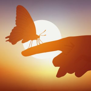 Entwine Bespoke Celebrant offer bespoke ceremonies for any part of life's journey. Whether it be weddings, naming ceremonies or funerals, Entwine offer their services in Perth, Dundee, Fife and wider Scotland area.